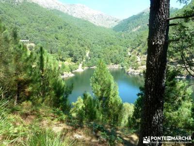 Garganta de Nuño Cojo-Piedralaves; marismas de barbate calares del rio mundo najarra